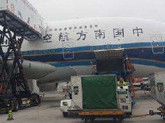 国内空运业务